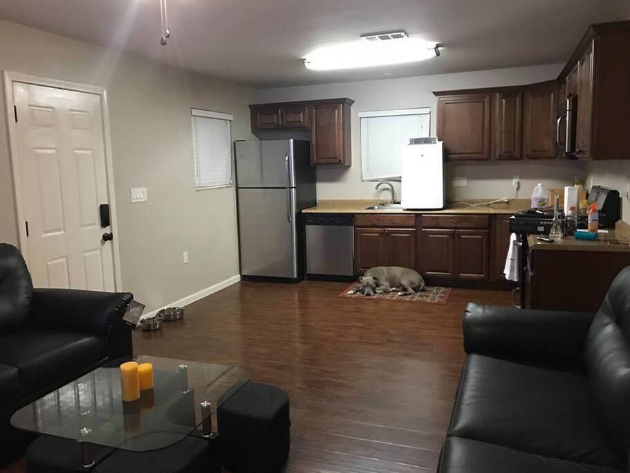 Living room kitchen.... Dog not included