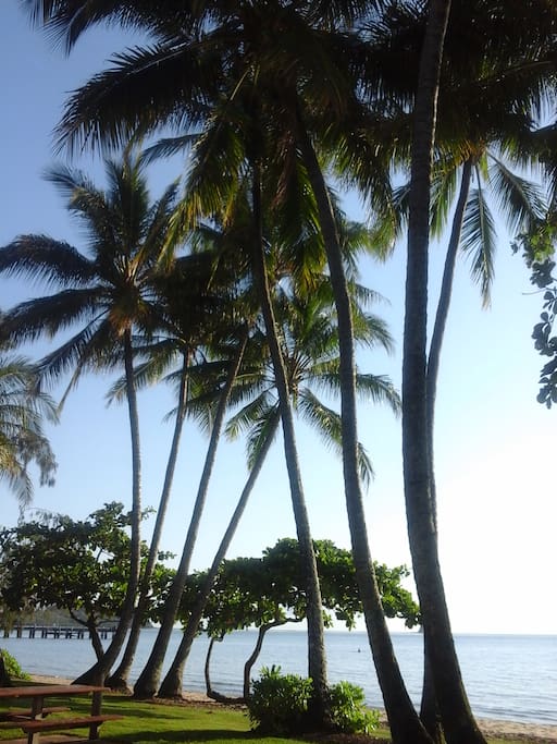 Palm cove beach only 10mins walk