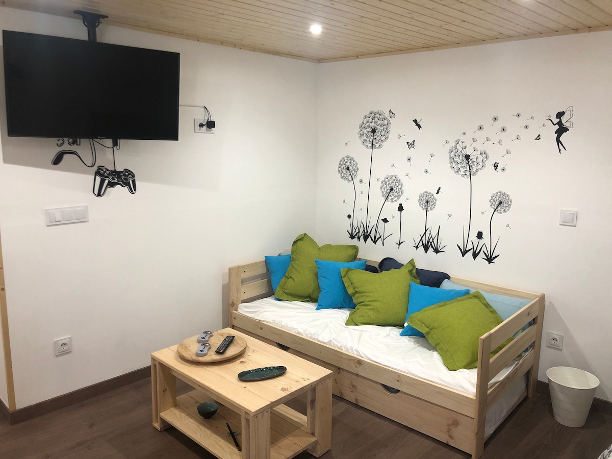 A comfortable seating area features a light wooden sofa bed adorned with colorful pillows in shades of green and blue. A wooden coffee table is positioned nearby, with decorative items on display. The wall showcases a whimsical mural of dandelions and butterflies, adding a playful touch.