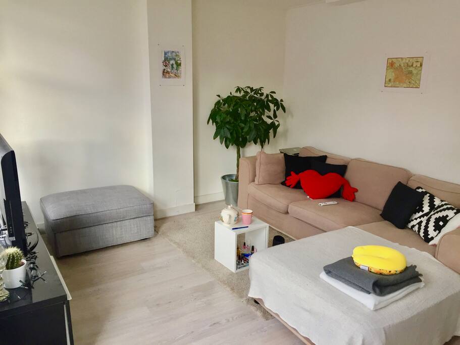 Living with corner sofa and tv