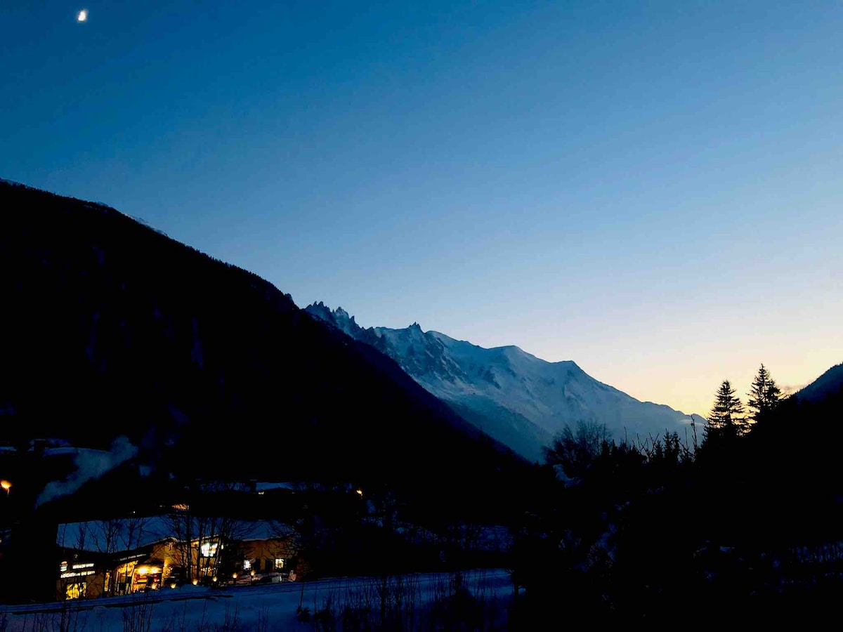 Top performing Airbnb: Beautiful apartment facing Mont Blanc in Chamonix Mont Blanc