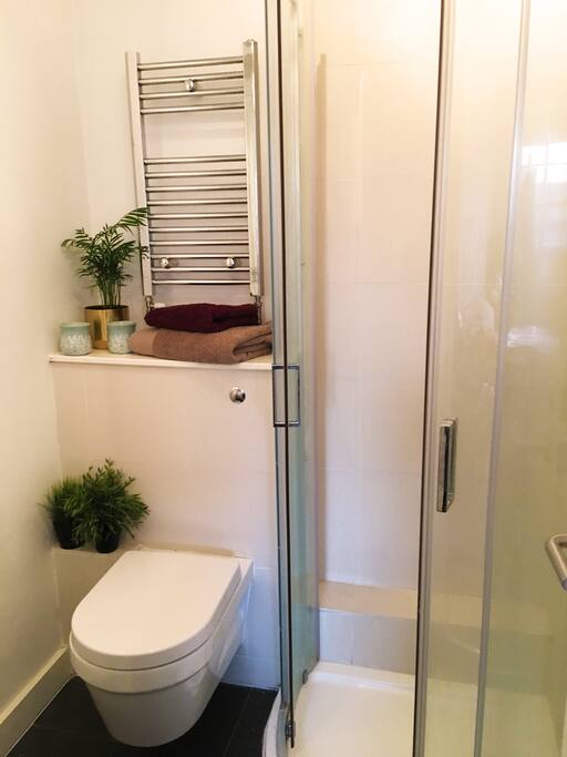 En suite bathroom with shower