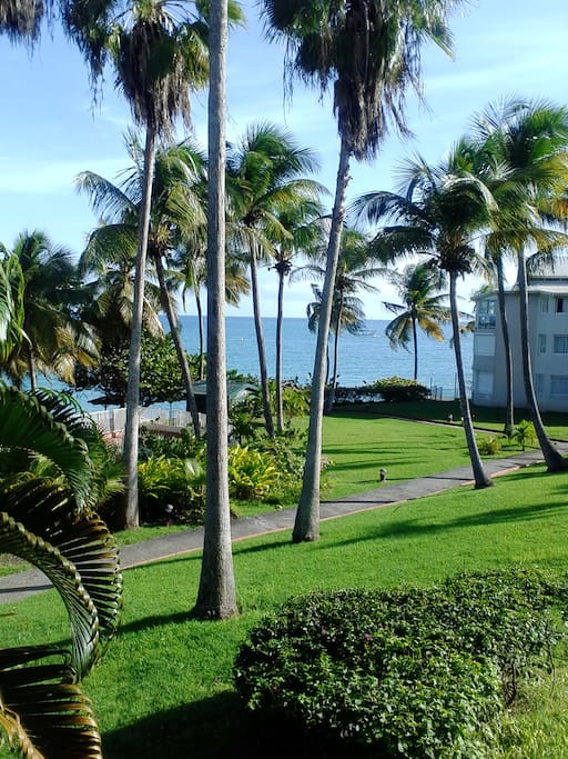 JARDIN DE LA RESIDENCE