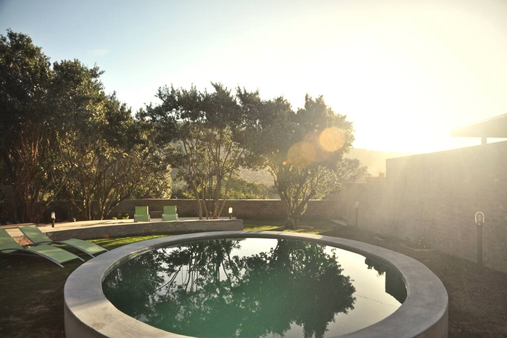 Guests have access to the pool area