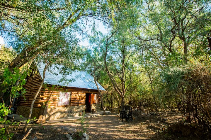 Propiedad de Airbnb exitosa: La Cabañita en Capilla Del Monte