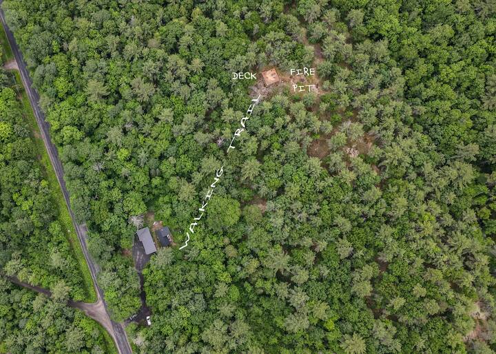 Top 6 Tiny Houses For Rent Near Beaverton, Canada Updated 2024 Trip101