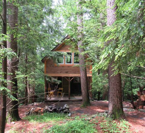 Charming Chestnut Cabin in Woods