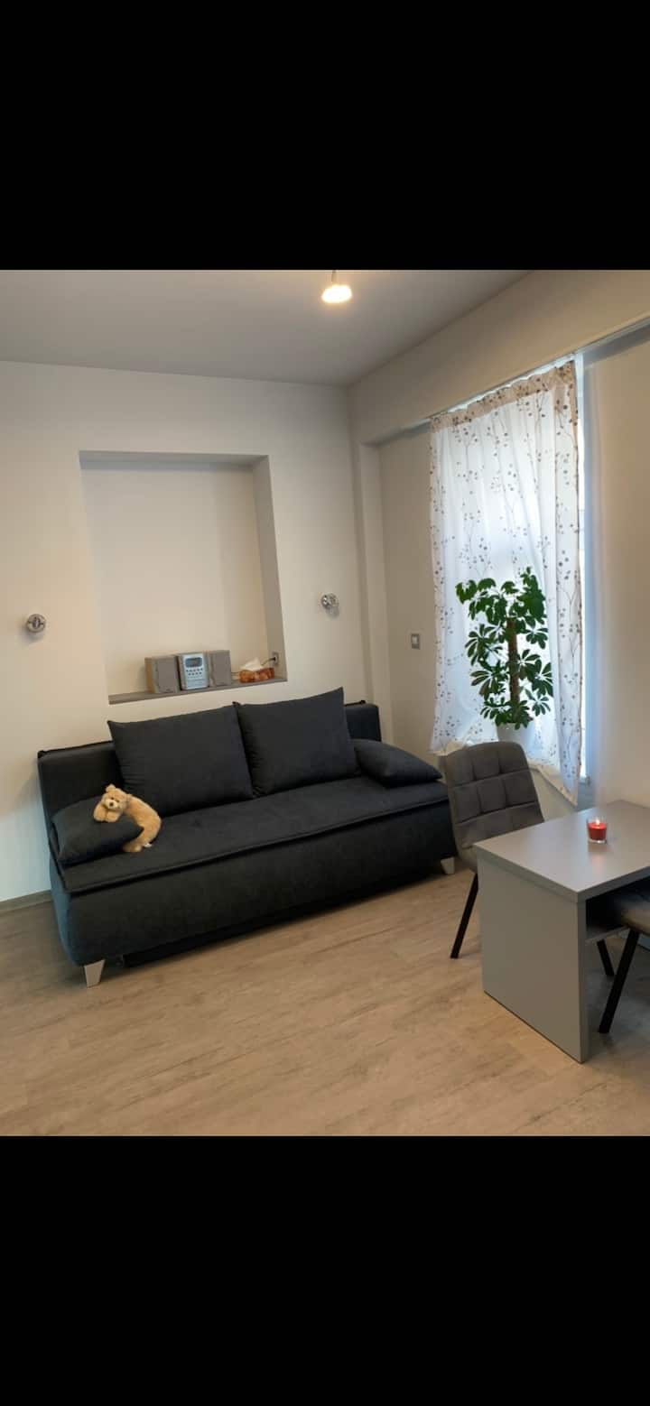 Modern Apartment In Center Of City. - Karlovy Vary