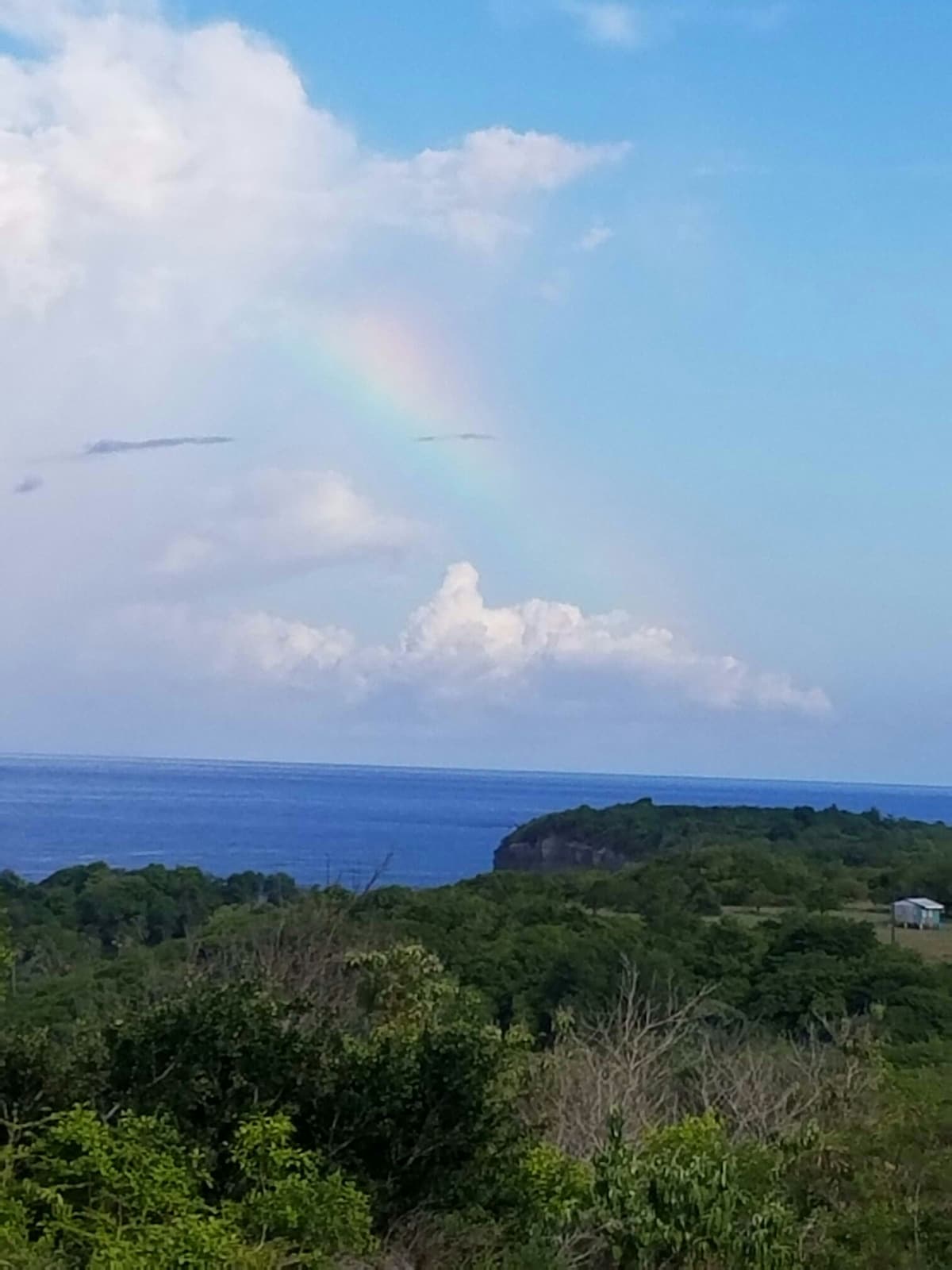 A scenic view captures the ocean meeting the horizon, complemented by lush green landscape. Wispy clouds and a soft rainbow create a tranquil scene, highlighting the natural beauty of the surroundings.