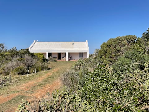 Sunny modern cottage, a stroll from the lagoon