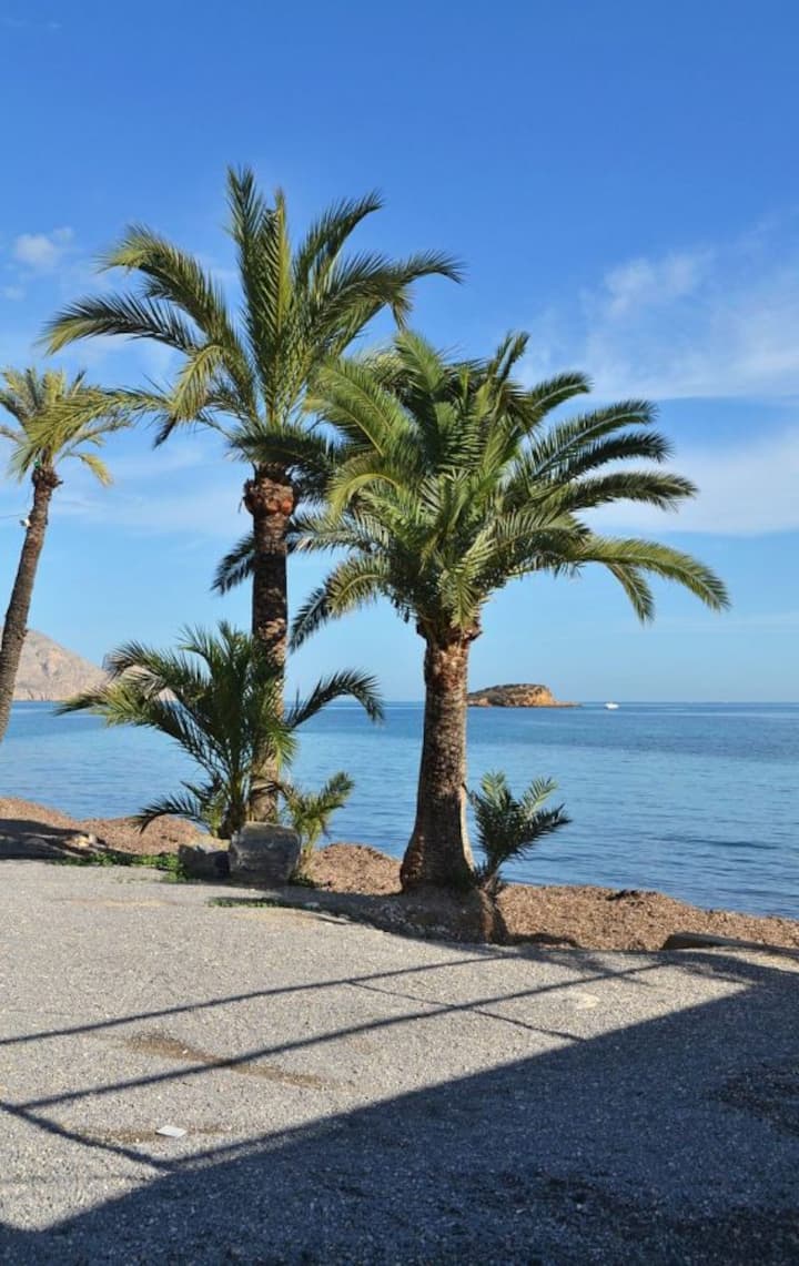 Apartamento En Altea Zona De La Playa De La Olla - Altea