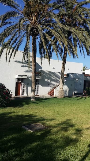 giardino