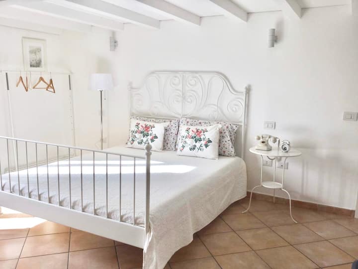 Villa Elena entire apartment in Naples Apartments for Rent in