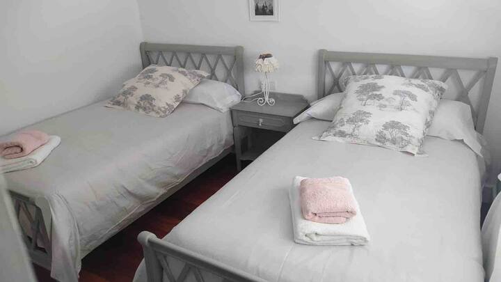 Gris room, two 105cm beds. 