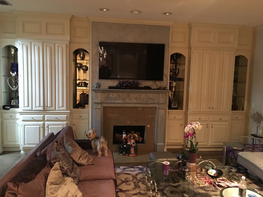Fire place and Wetbar
