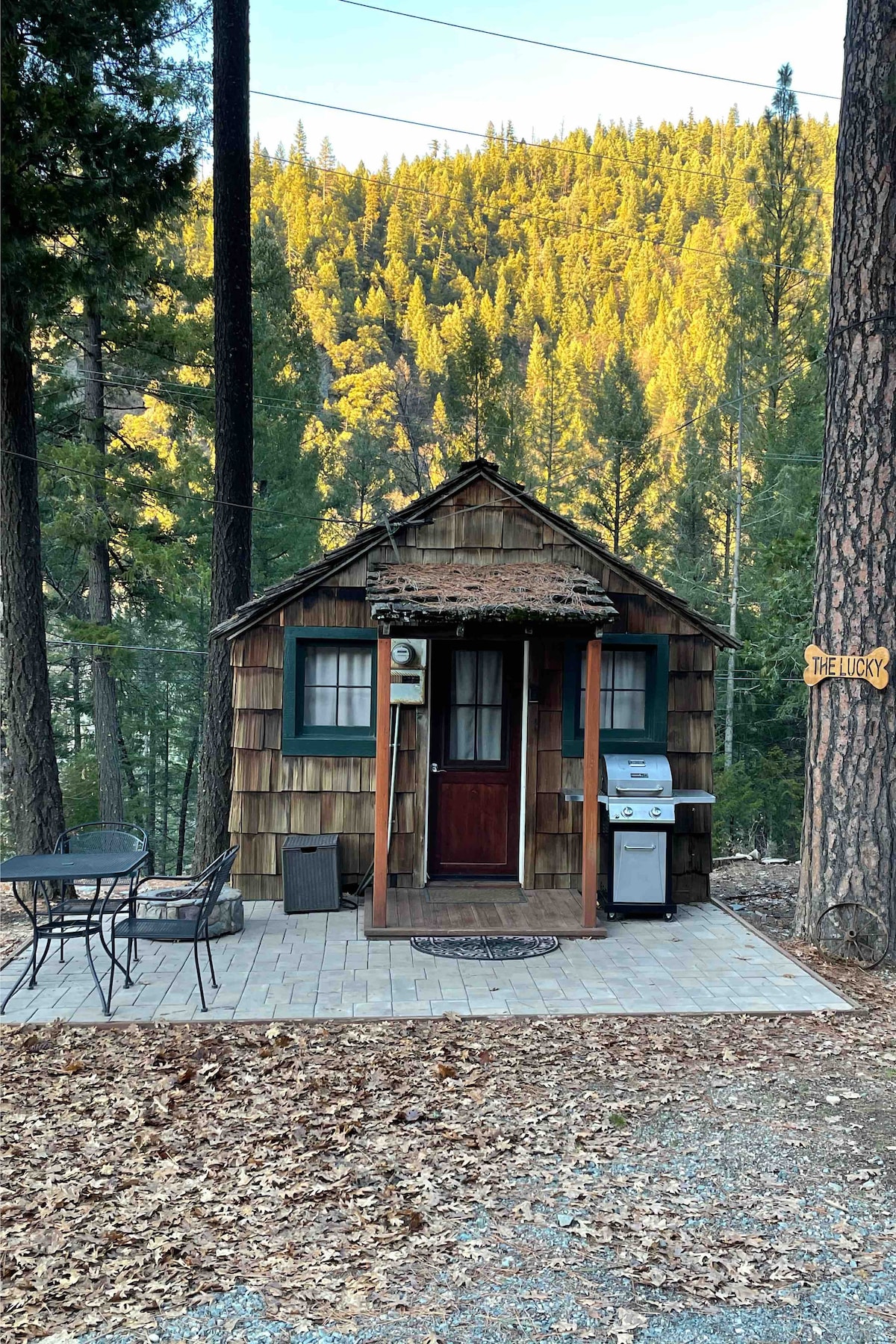 A charming cabin features wooden shingles and a welcoming front porch. A propane barbecue is positioned to one side, while a small outdoor seating area with a round table and chairs is visible. Lush green trees frame the background, highlighting the natural setting.