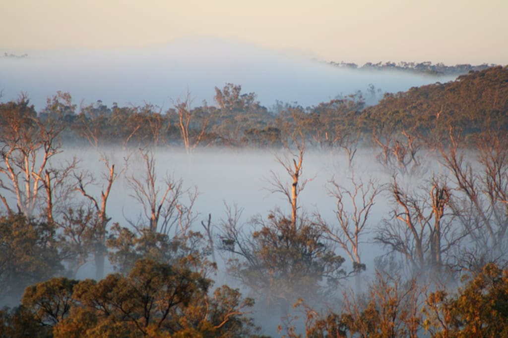 Morning mists on the river are a magic sight.