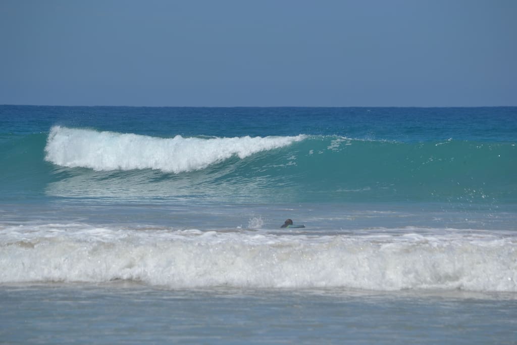 Surf spots directly out the front