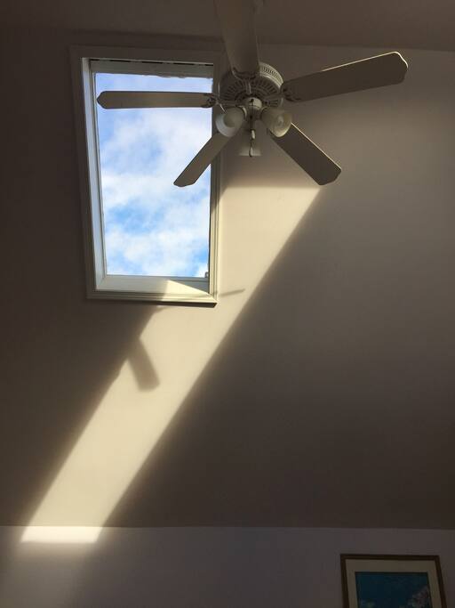 Sky lights. Lots of sunshine
