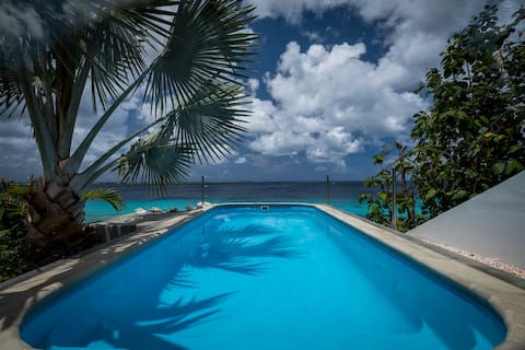 Bonaire Oceanfront Beach  House KR14