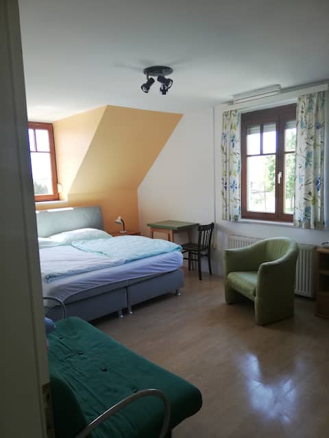 Big room, nice view