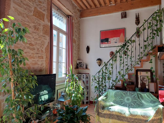 Spacious apartment in the district of Croix rousse