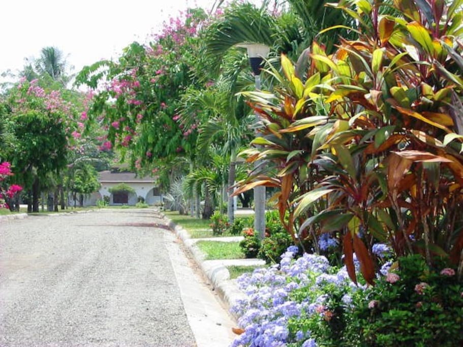 The beautiful gardens of Villas Las Flores