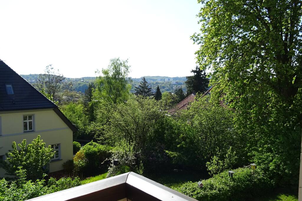 Und hier der gleiche Blick mit Grün an den Bäumen...