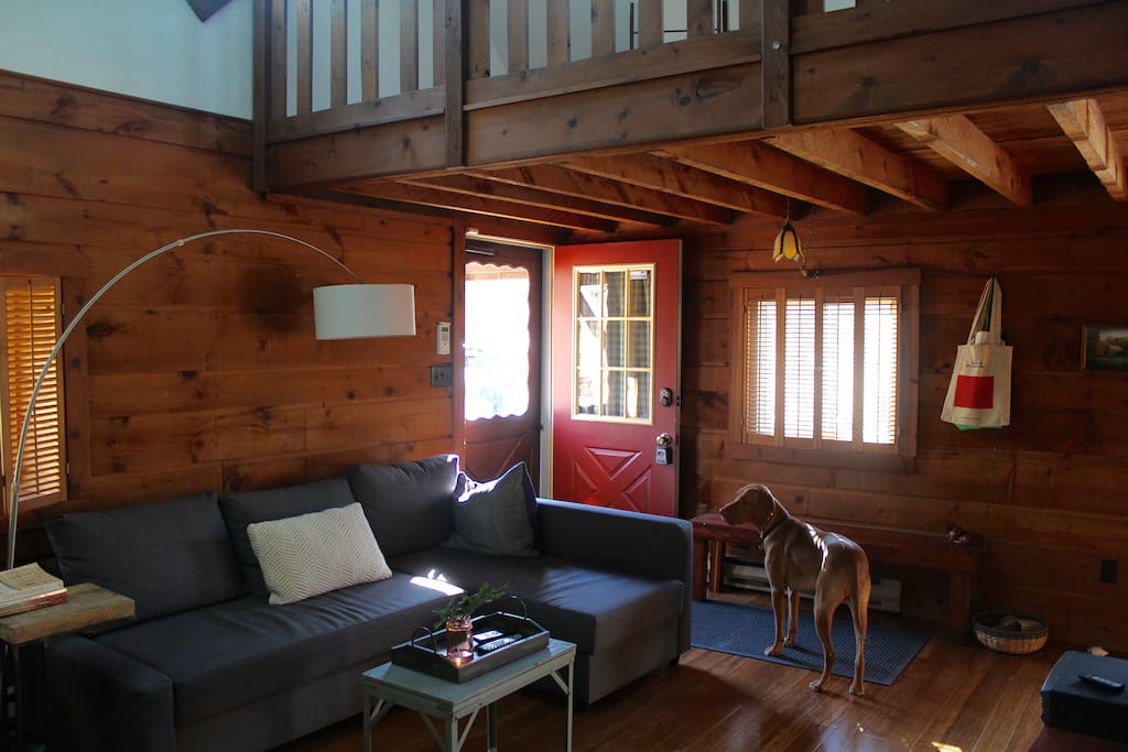 This well-behaved dog enjoyed their stay at the cabin.