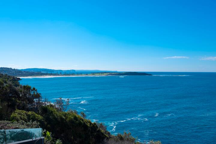 Curly Sunrise gallery image 3