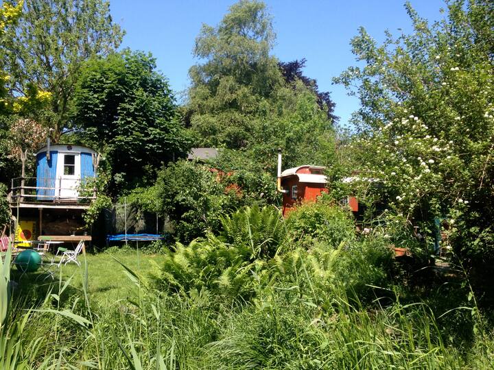 Zauberhafte Zirkuswagen im Garten der Mühle 17! - Kleine Häuser zur