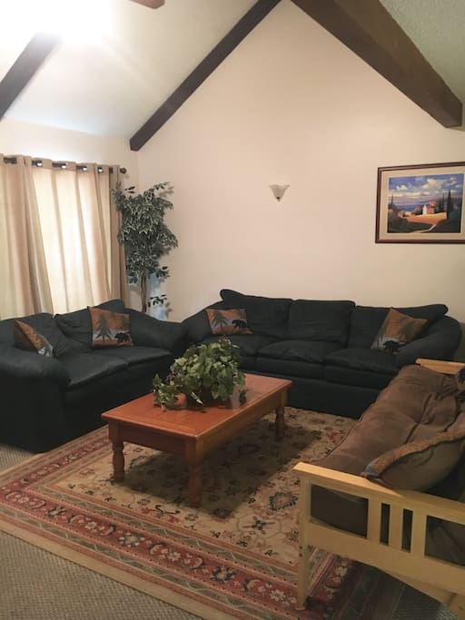 Large living room with vaulted ceiling, full size futon and fire place
