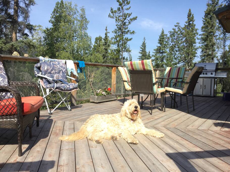 Our deck