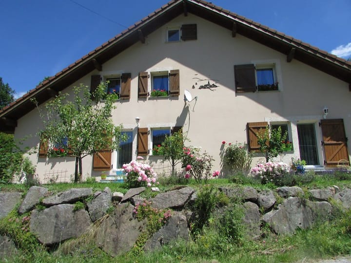 Beautiful house at the foot of the Ballon d 'Alsasse