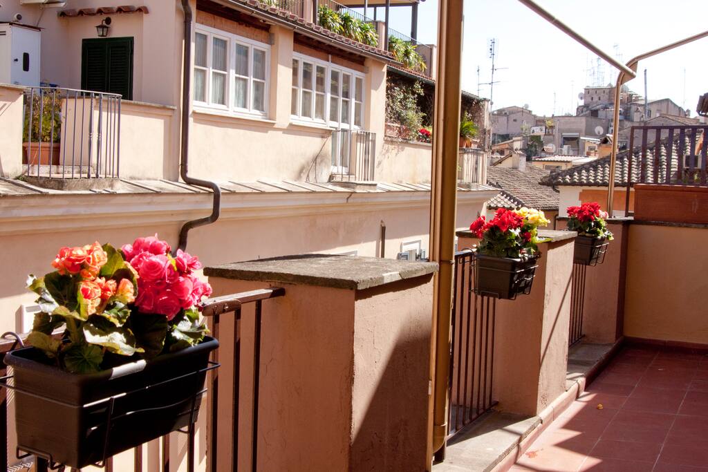 the terrace