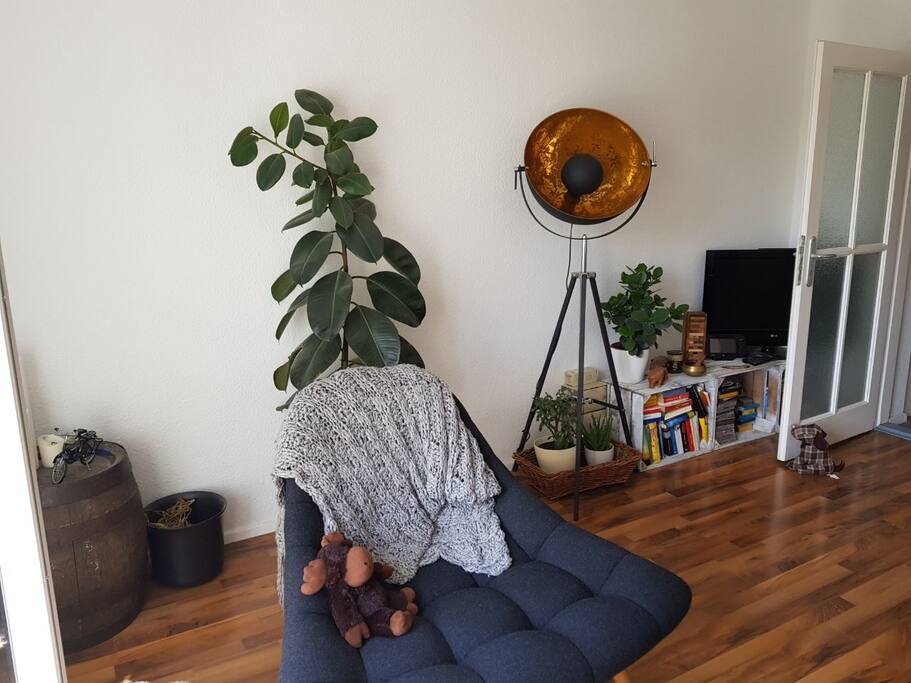 Your Room 2/4.