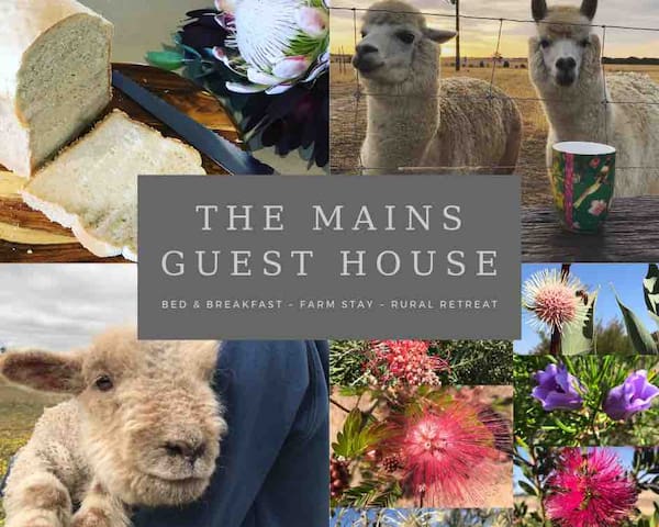 The Mains Guest House ~Rural Retreat~B&B~Farm Stay