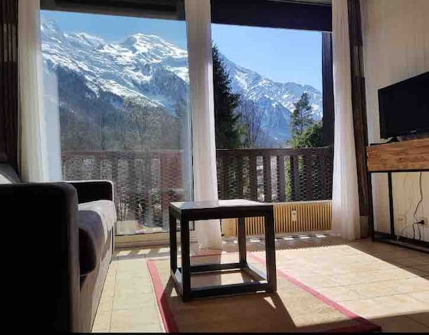 Studio calme, belle vue Mont Blanc, wifi, parking