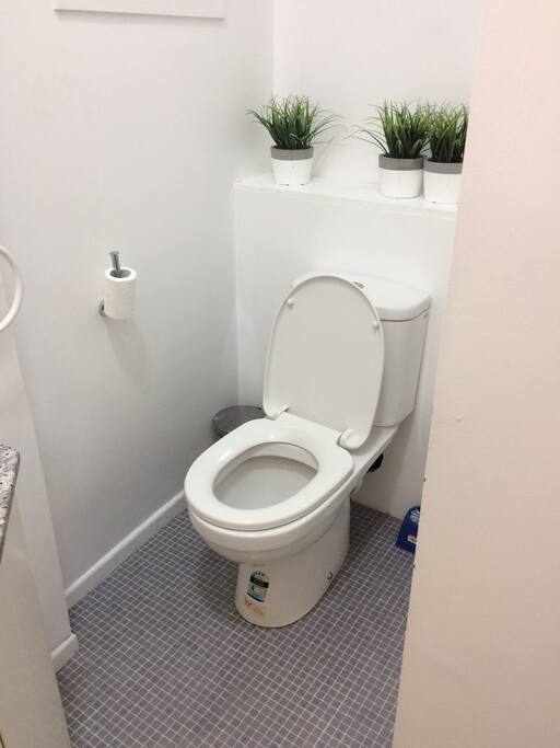 Shared Toilet on Level 1