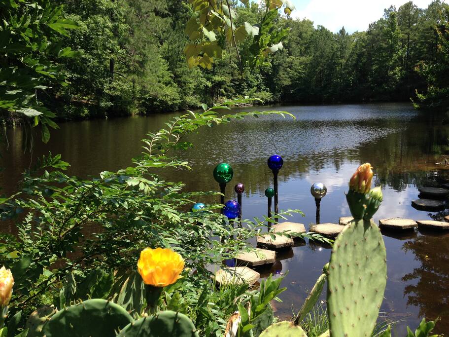 There's always have something new to see....wild ducks, geese, hawks, turtles, fish, and the occasional eagle.