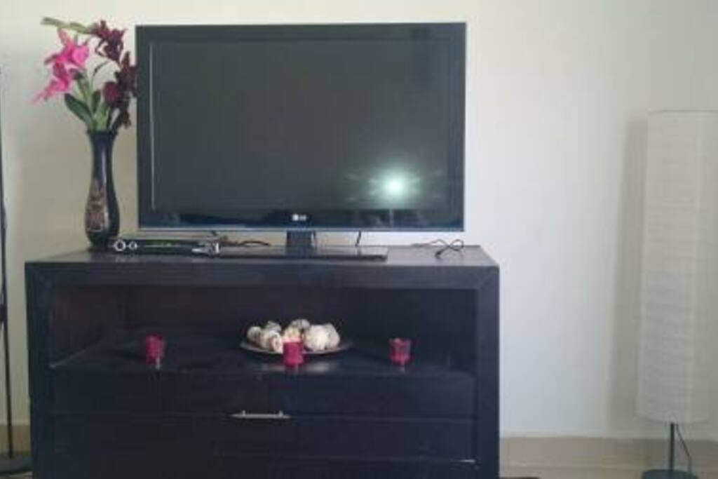 Satellite TV