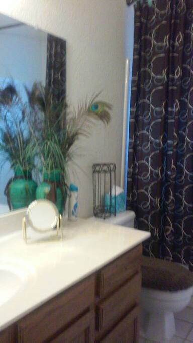 the bathroom