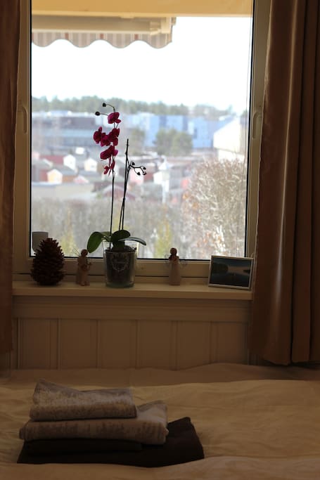 View from the room