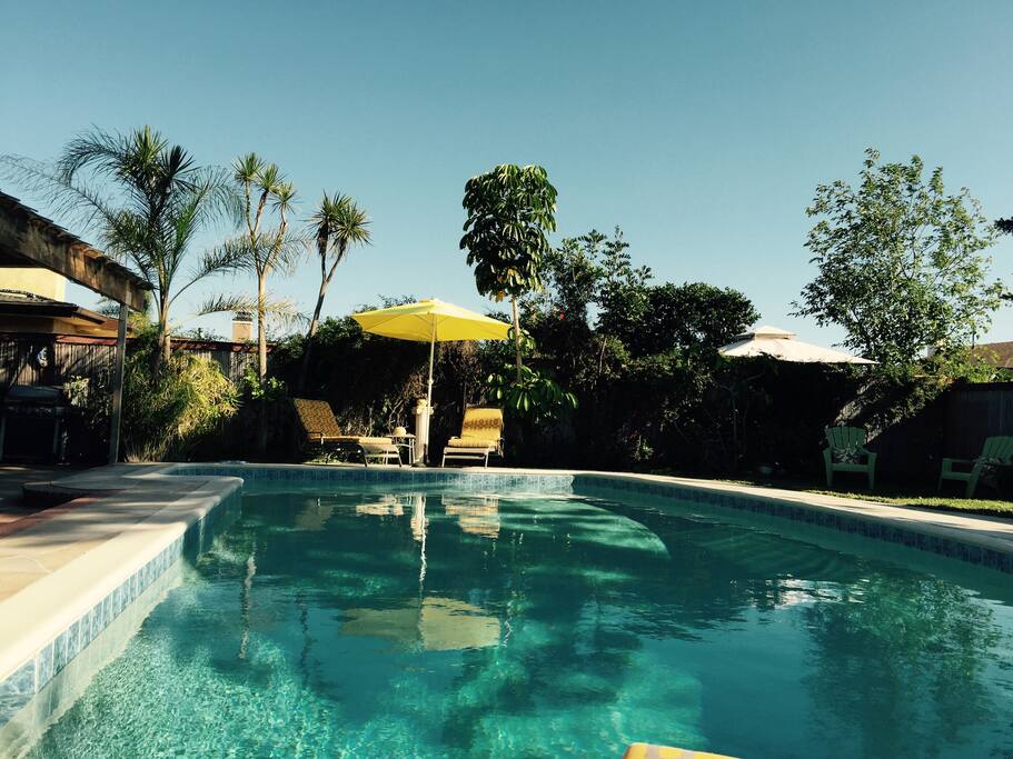 Solar heated Pool and pool lounge chairs