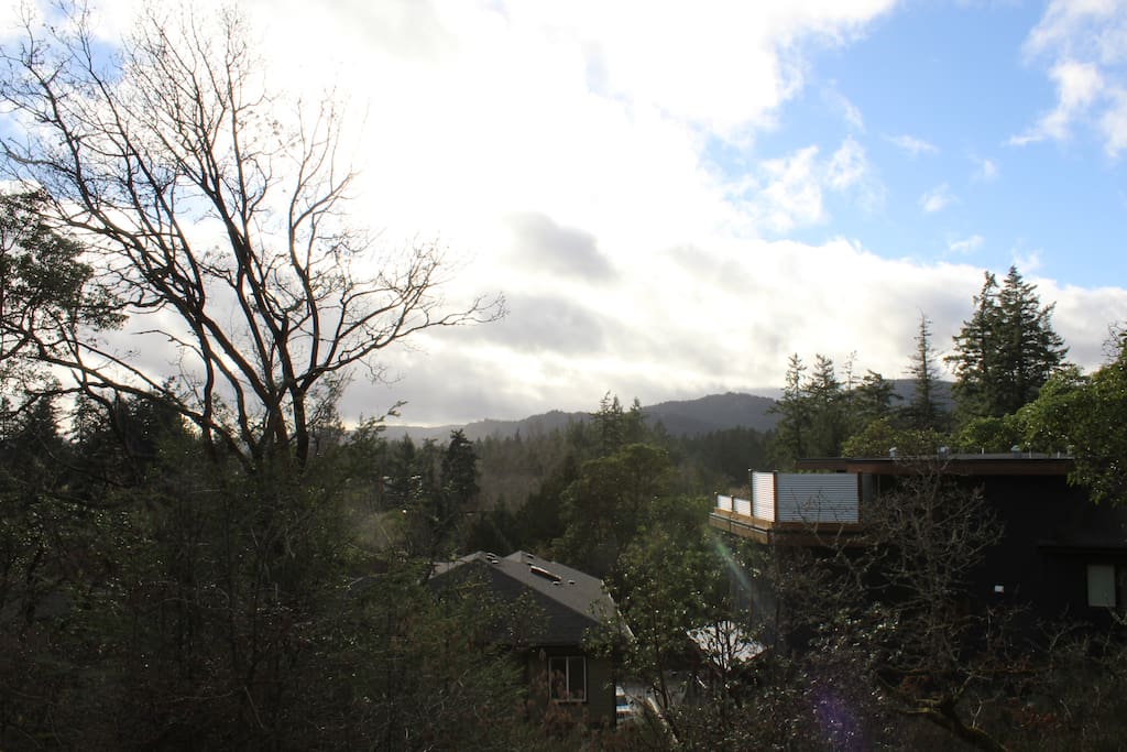 View from the hot tub overlooking the surrounding forest and hills.