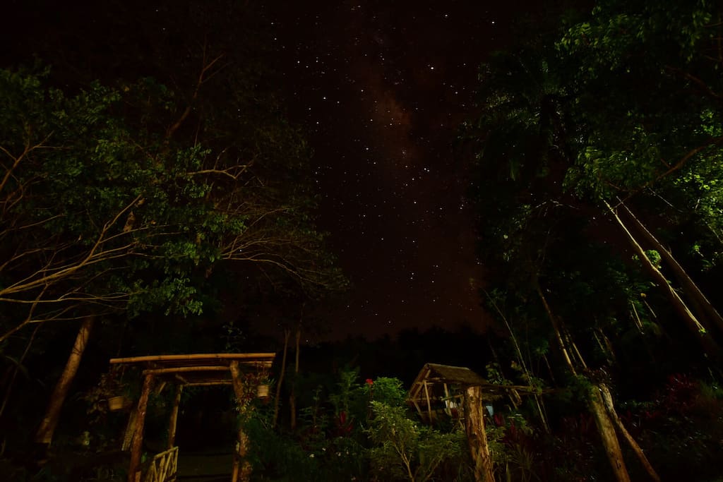 Your night sky.