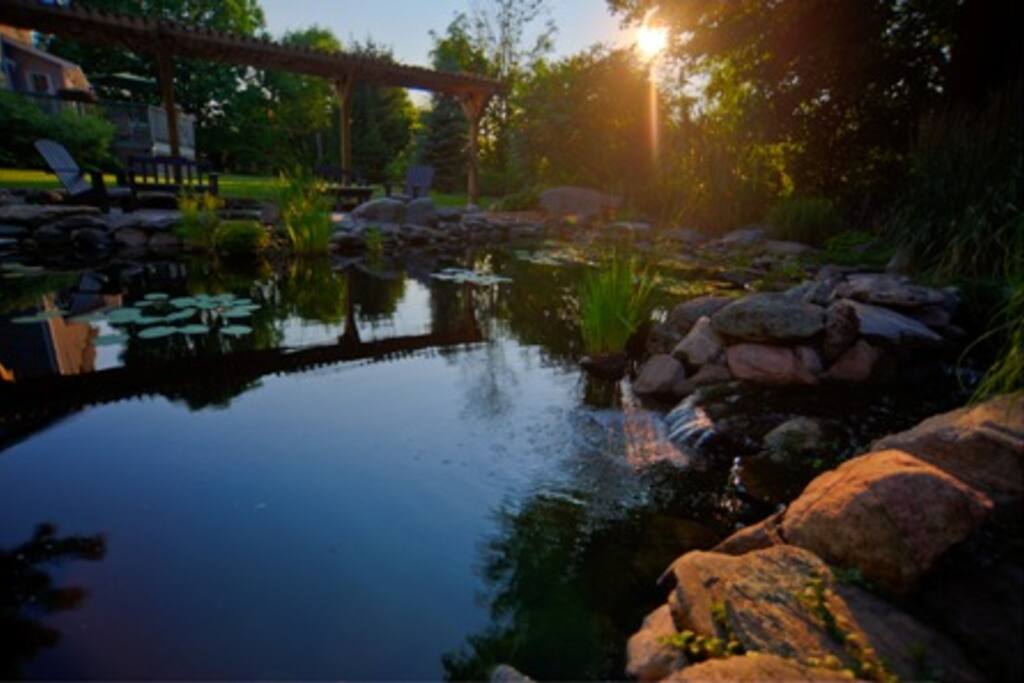 The Koi Pond is a great place to sit and relax