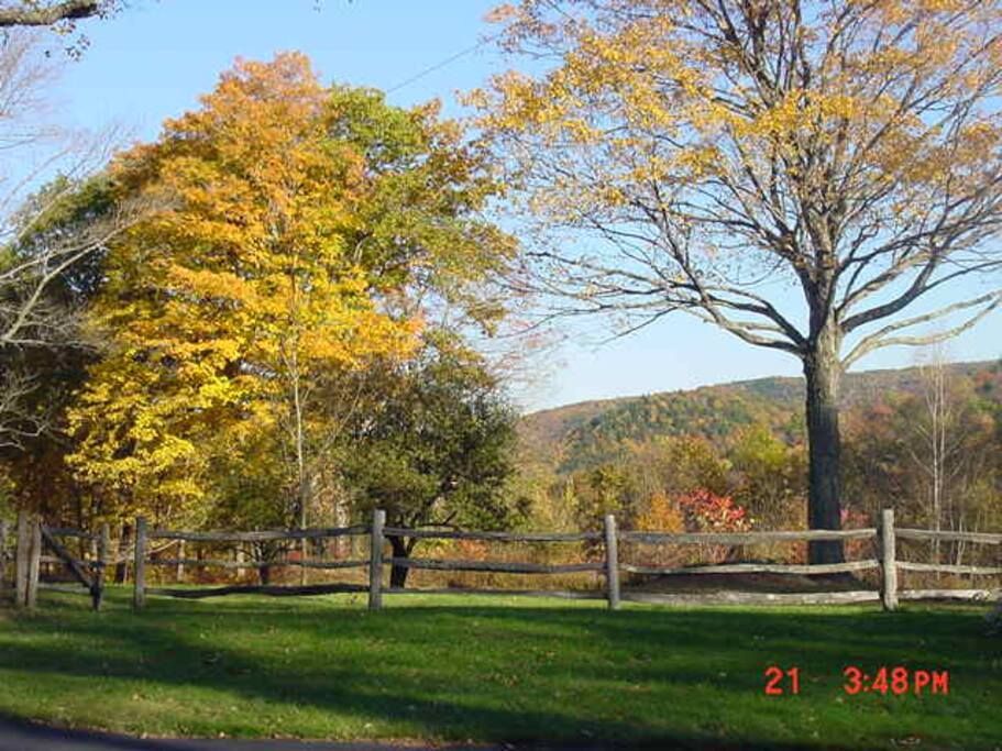 Sit out front, enjoy a coffee and a view of fall.