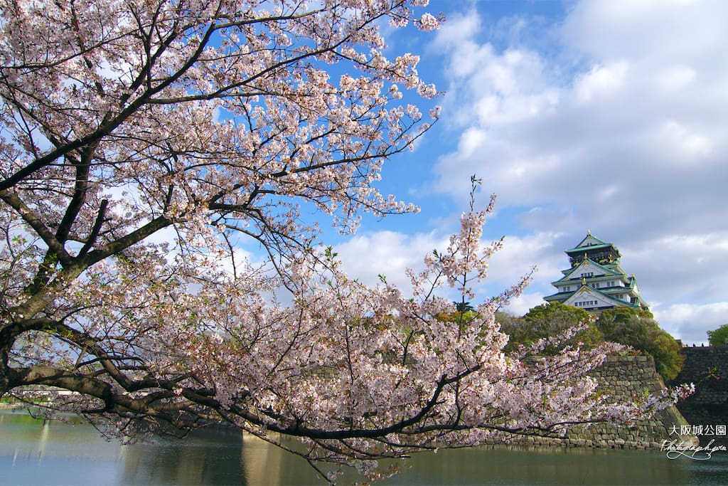 Sakura season, Osaka castle and river from your room. AMAZING view!!!!!X)*