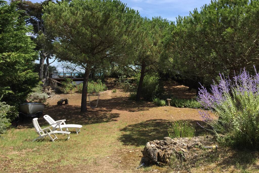 A massive 2000 square meters garden